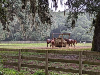 21 Middleton Oaks Road, Charleston, SC 29414