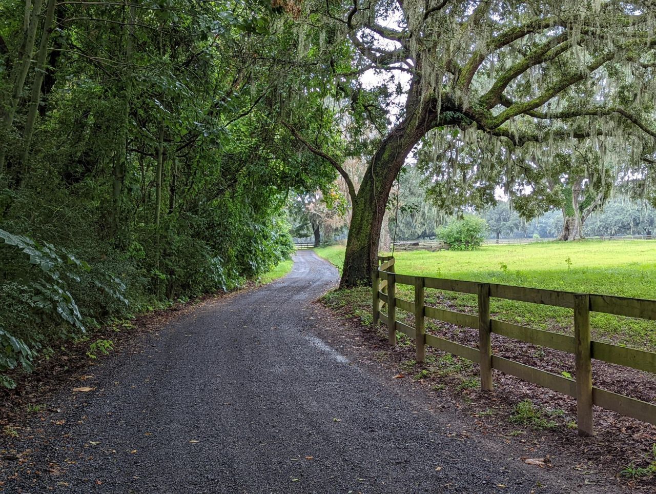 21 Middleton Oaks Road Photo 10