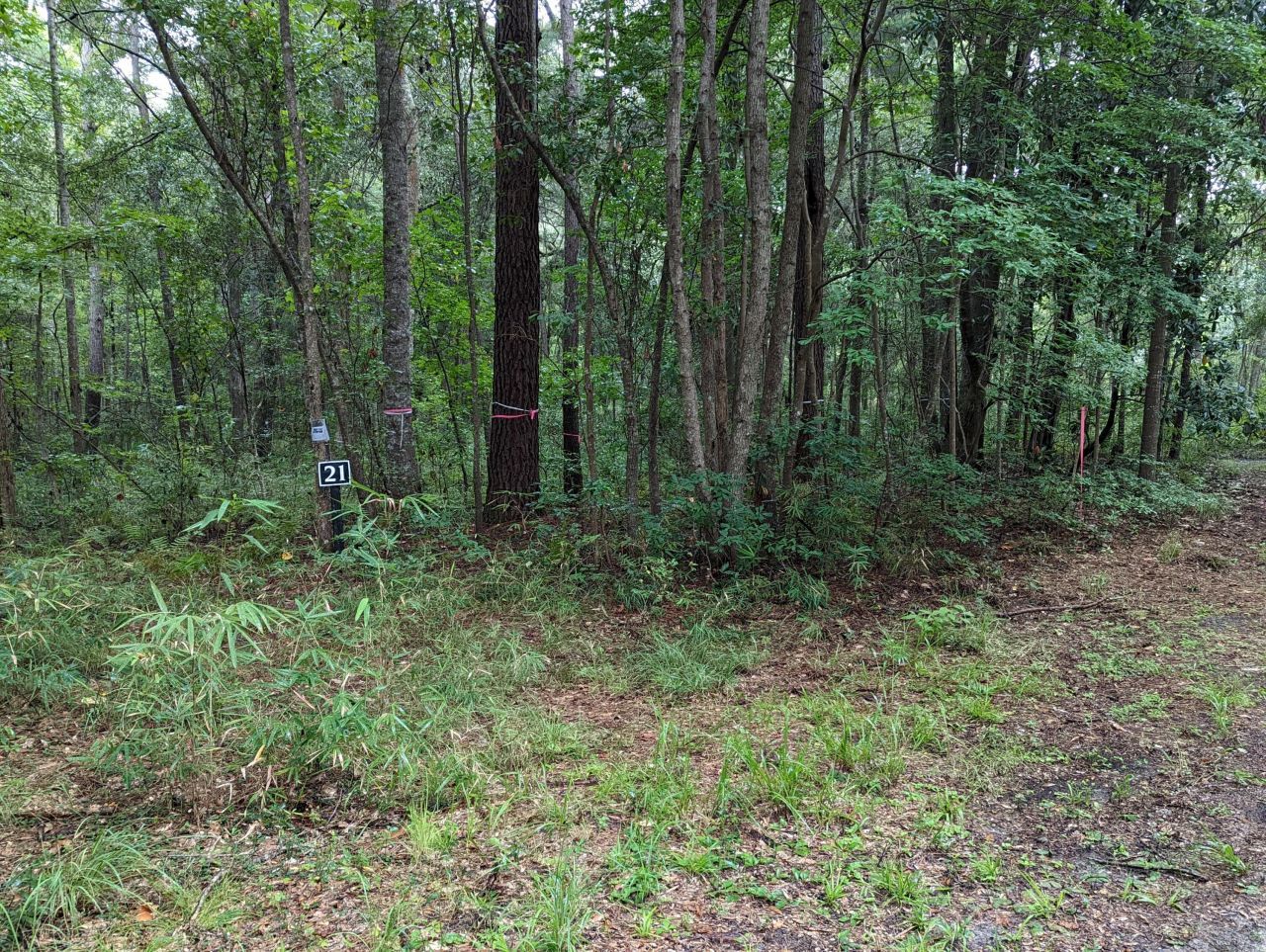 21 Middleton Oaks Road Photo 11