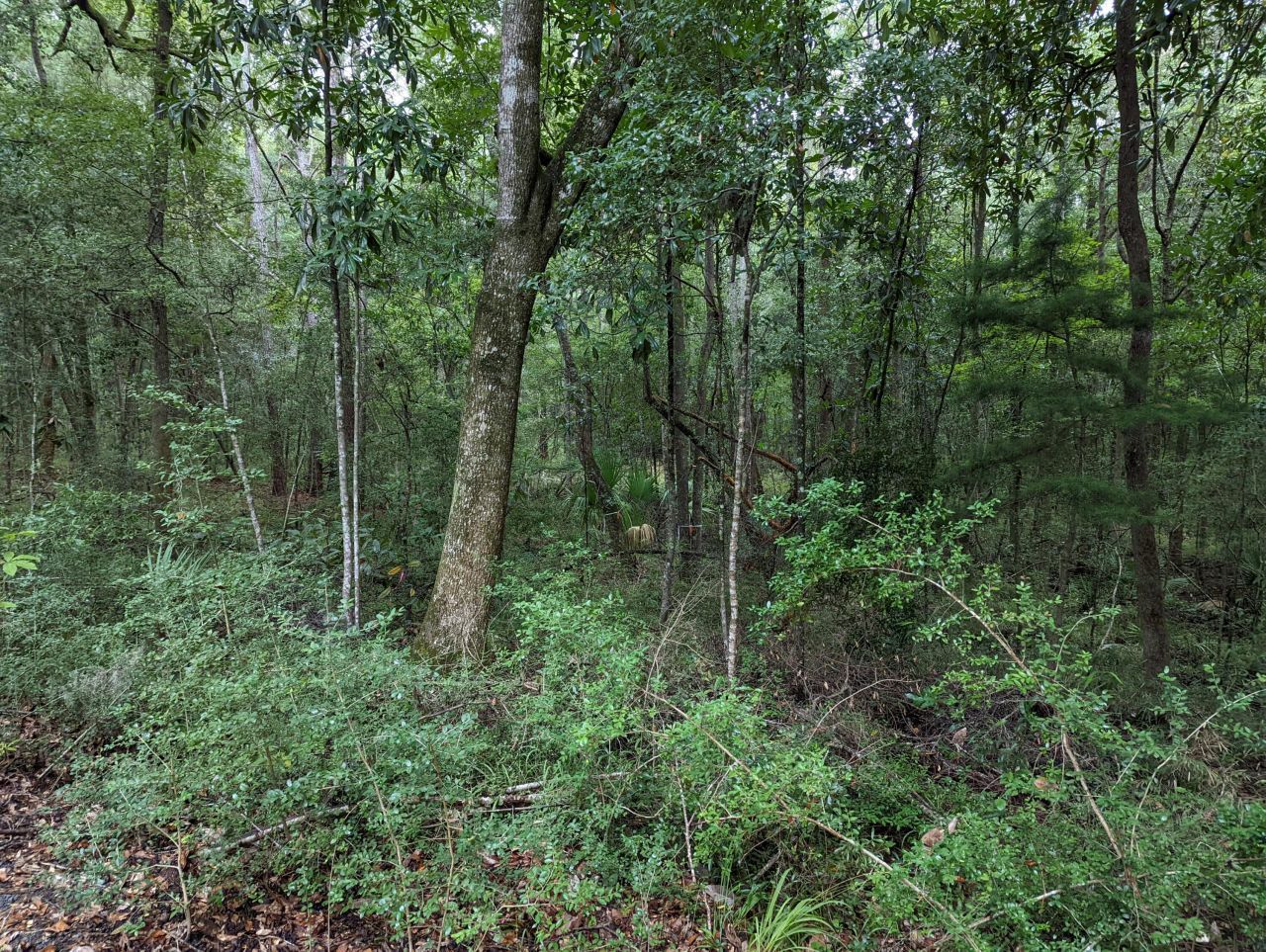 21 Middleton Oaks Road Photo 12