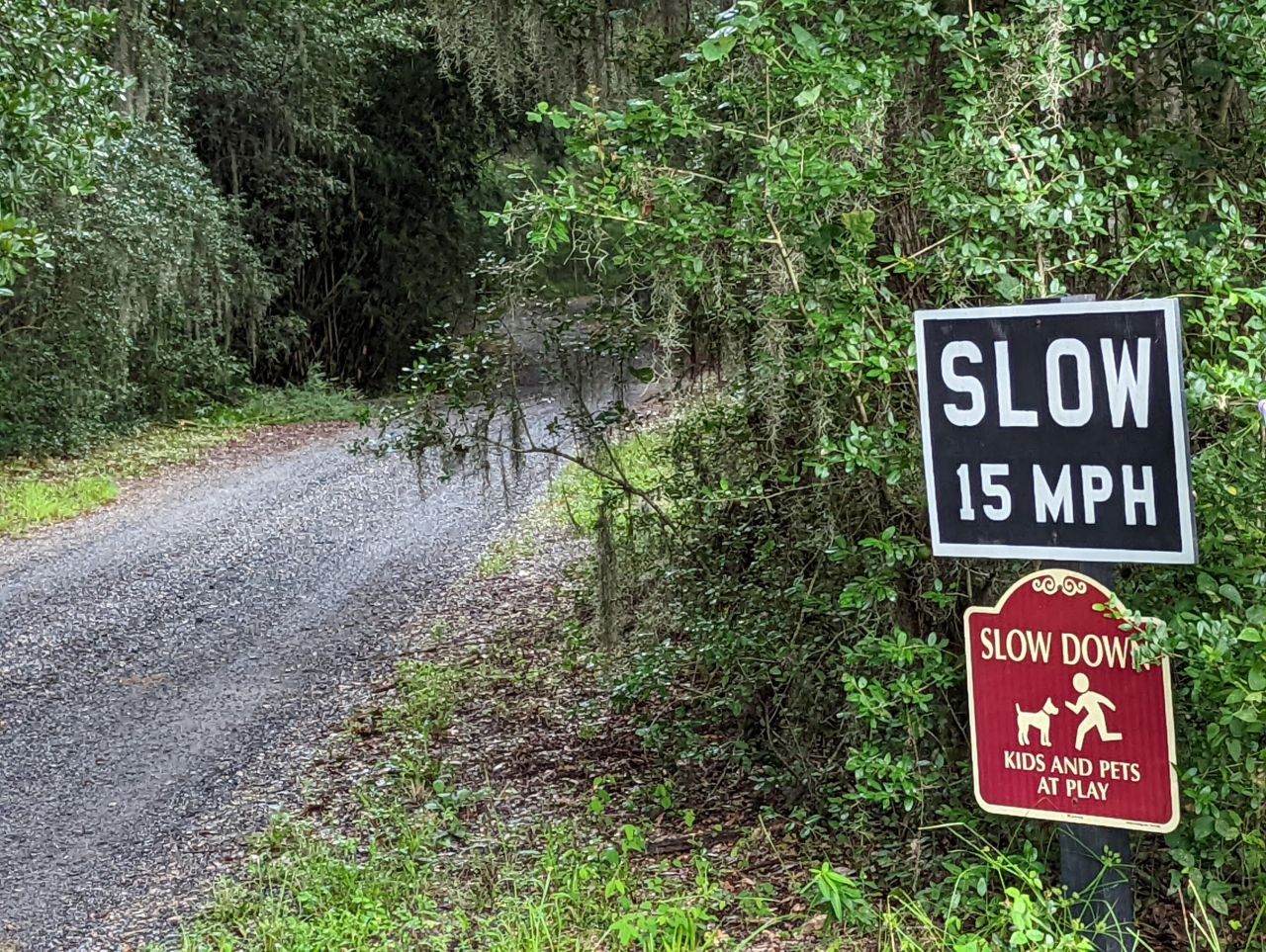 21 Middleton Oaks Road Photo 15