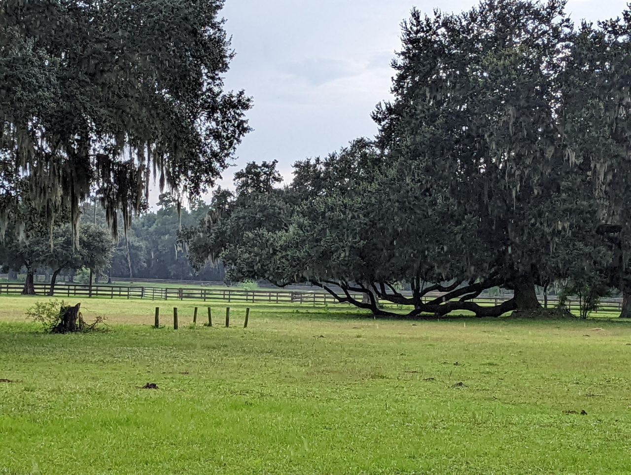 21 Middleton Oaks Road Photo 16