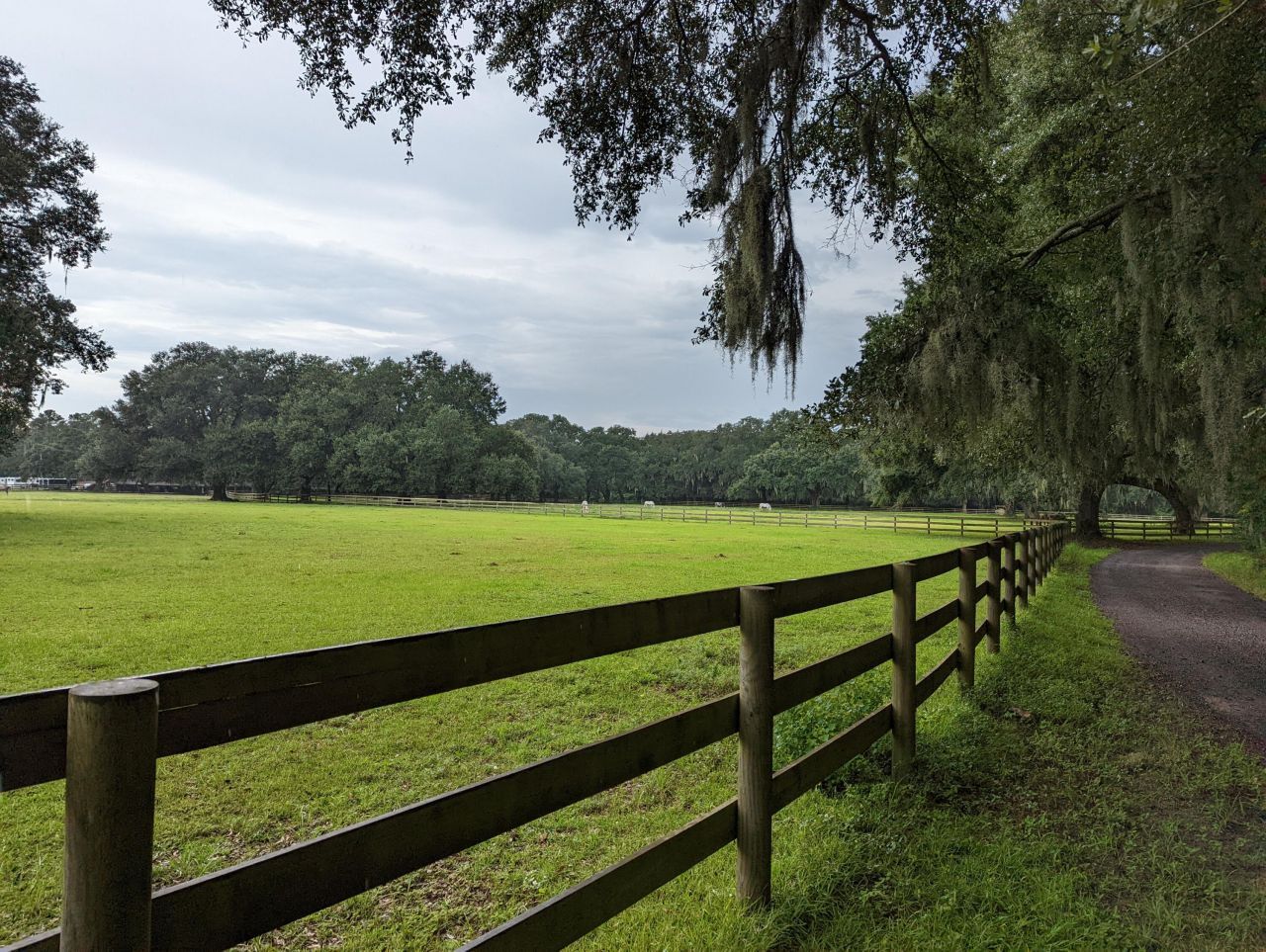 21 Middleton Oaks Road Photo 17