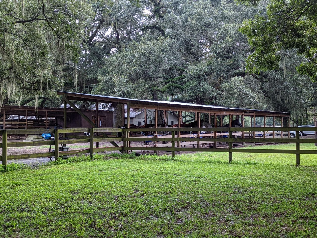 21 Middleton Oaks Road Photo 18