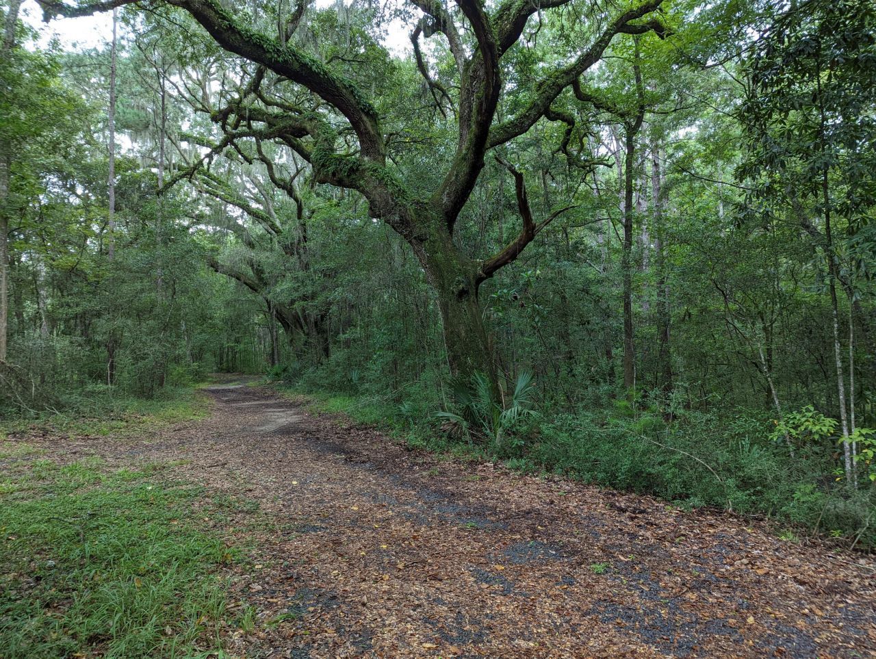 21 Middleton Oaks Road Photo 19