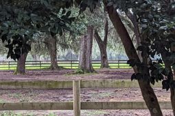 21 Middleton Oaks Road photo 4