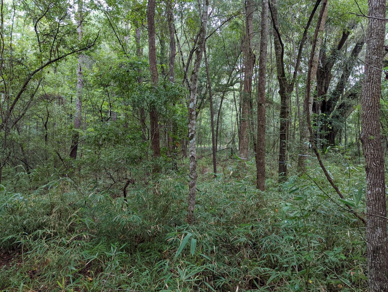 21 Middleton Oaks Road Photo 6