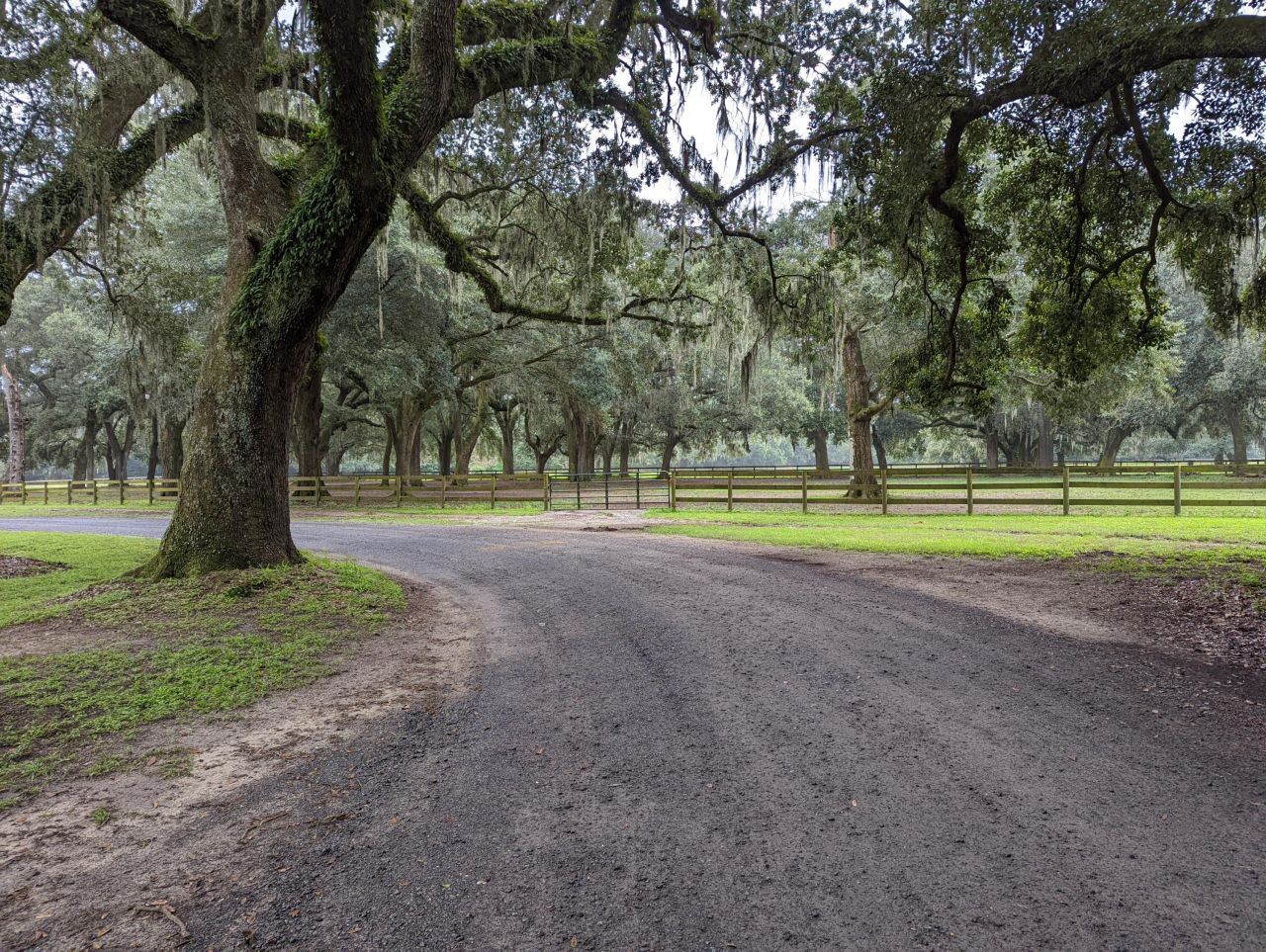 21 Middleton Oaks Road Photo 7