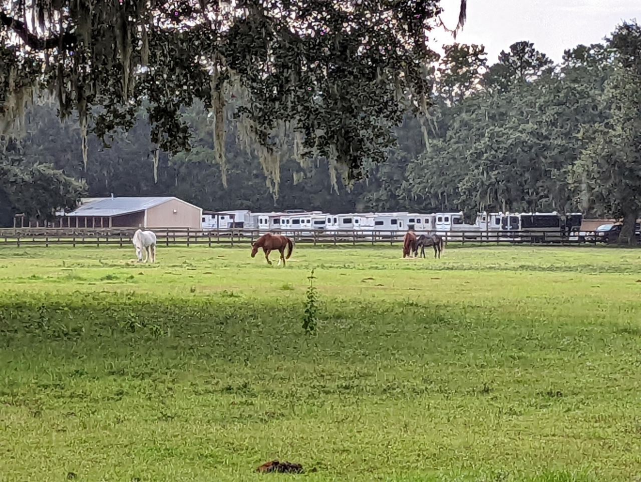 21 Middleton Oaks Road Photo 8