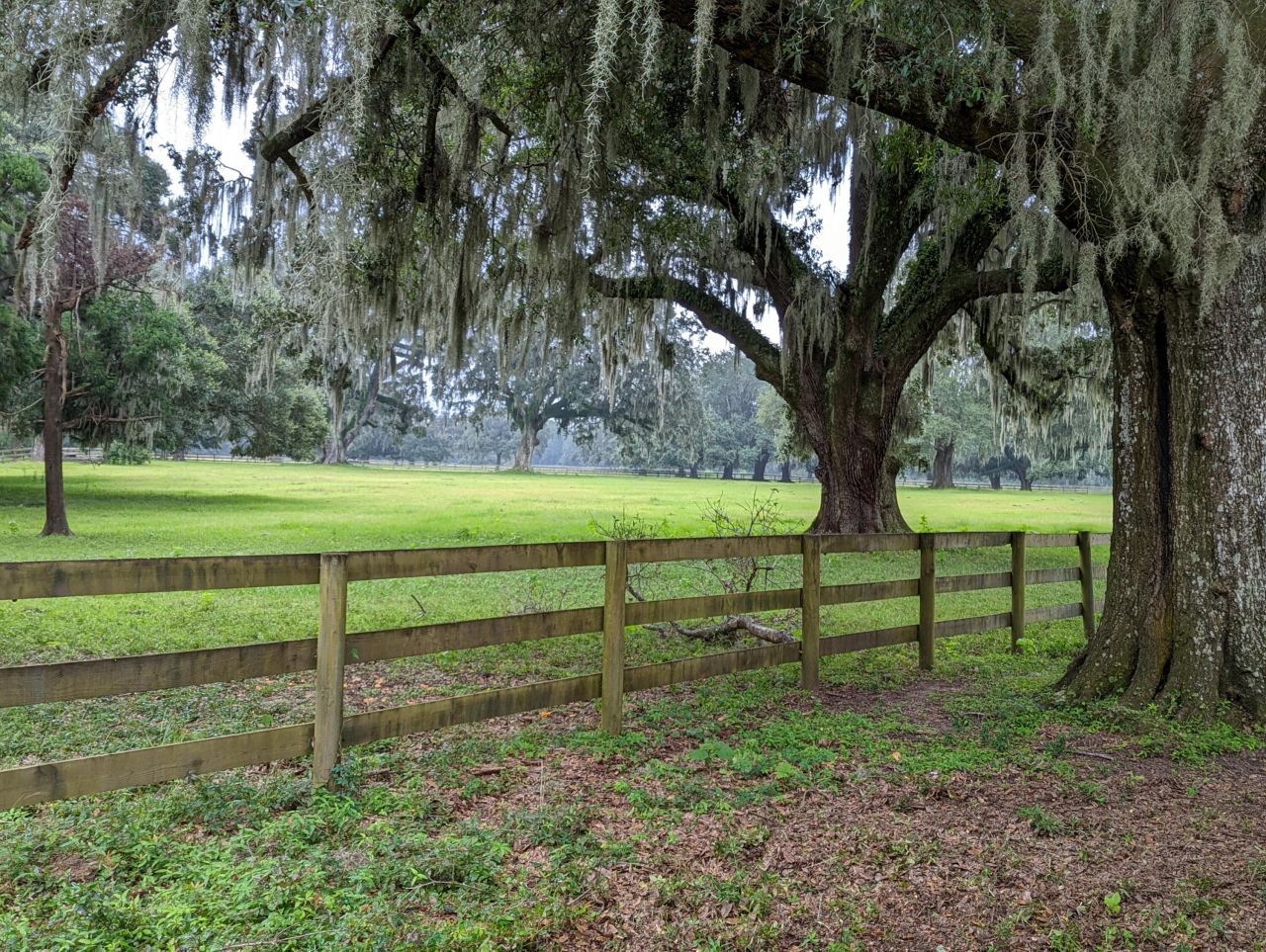 21 Middleton Oaks Road Photo 9