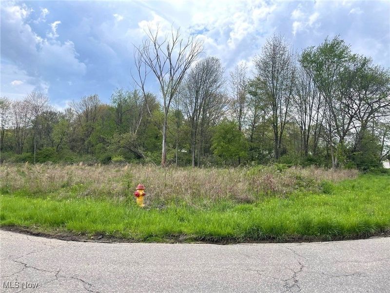 Lot# 1 Candell Street SE, Massillon, OH 44646 Photo 1