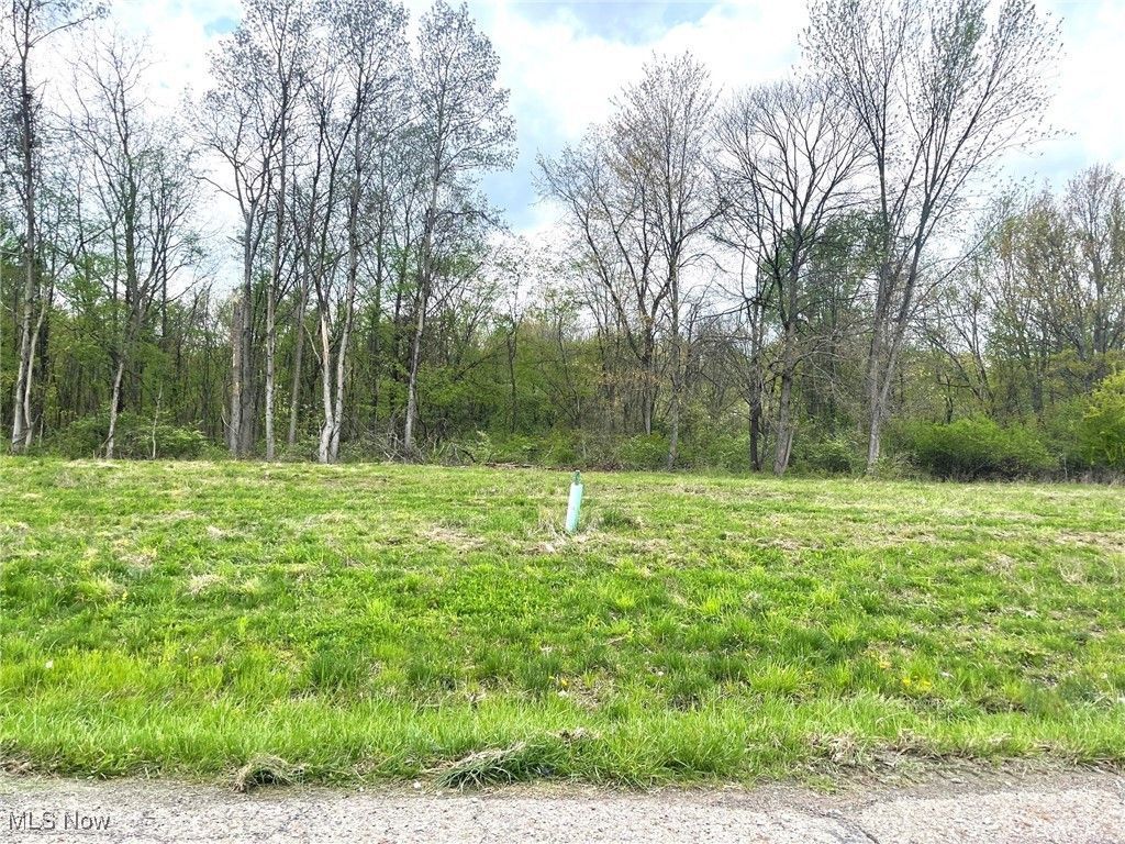 Lot# 14 Candell Street Se, Massillon, OH 44646 Main Photo
