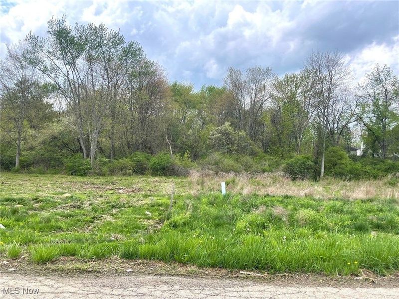 Lot# 5 Candell Street SE, Massillon, OH 44646 Photo 1
