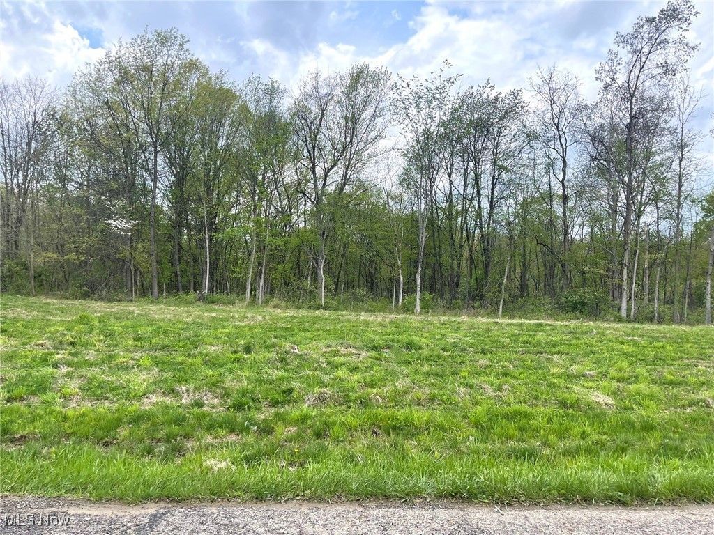 Lot#16 Candell Street Se, Massillon, OH 44646 Main Photo