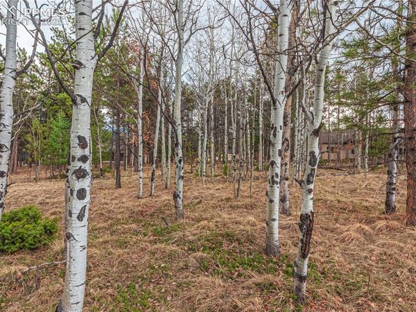 1290 Firestone Drive, Woodland Park, CO 80863