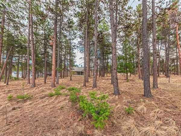 1290 Firestone Drive, Woodland Park, CO 80863