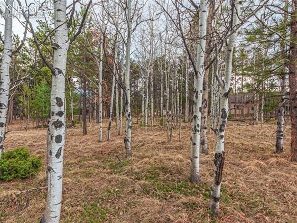 1290 Firestone Drive, Woodland Park, CO 80863