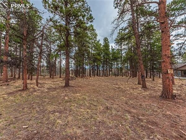 1290 Firestone Drive, Woodland Park, CO 80863