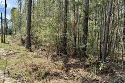 0 Washington Klein Street photo 4