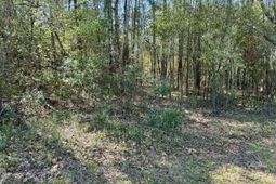 0 Washington Klein Street photo 4