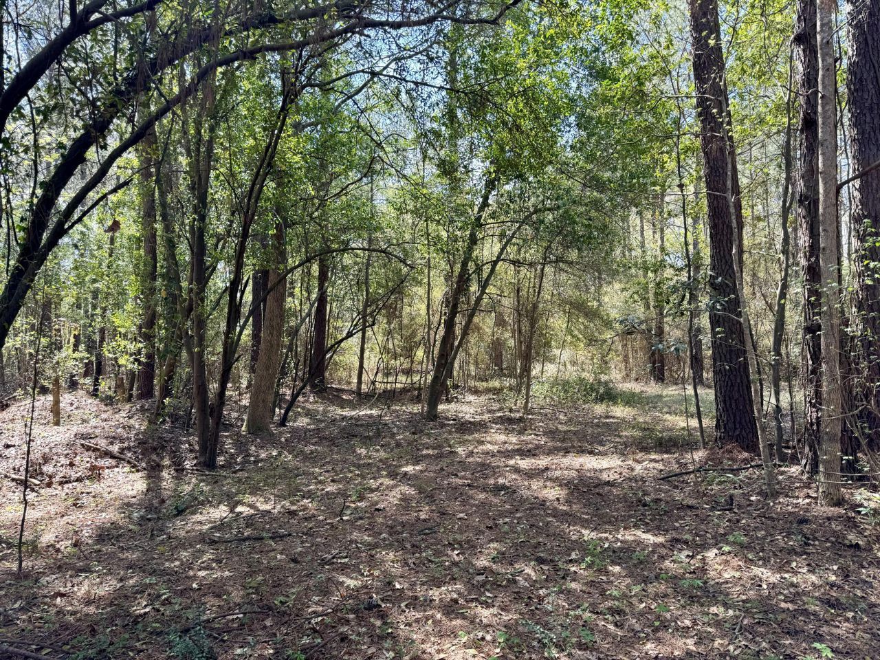 0 Washington Klein Street Photo 4