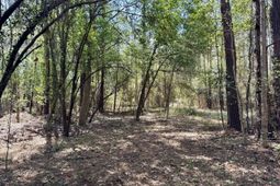 0 Washington Klein Street photo 4