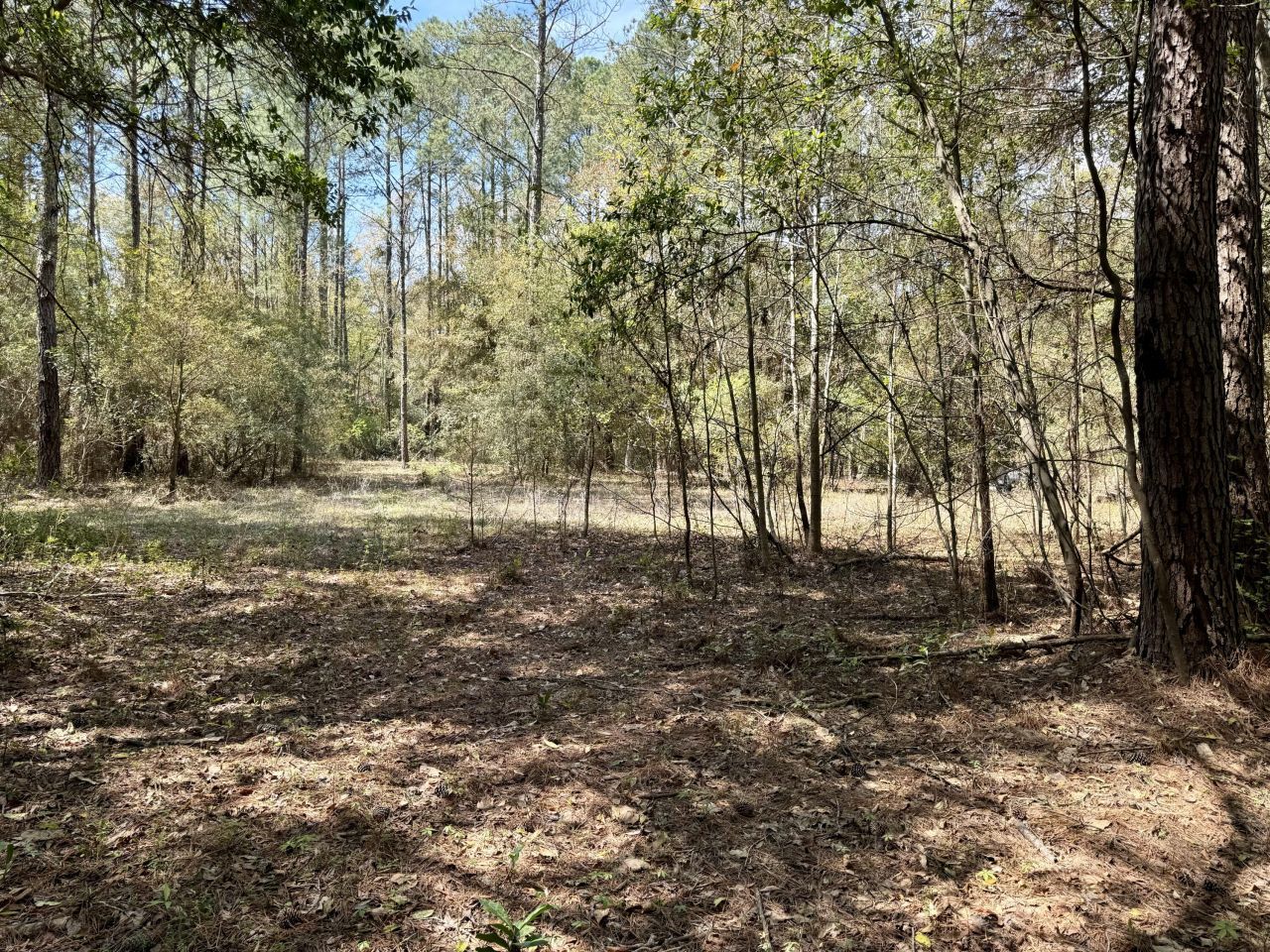 0 Washington Klein Street Photo 5