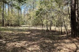 0 Washington Klein Street photo 4