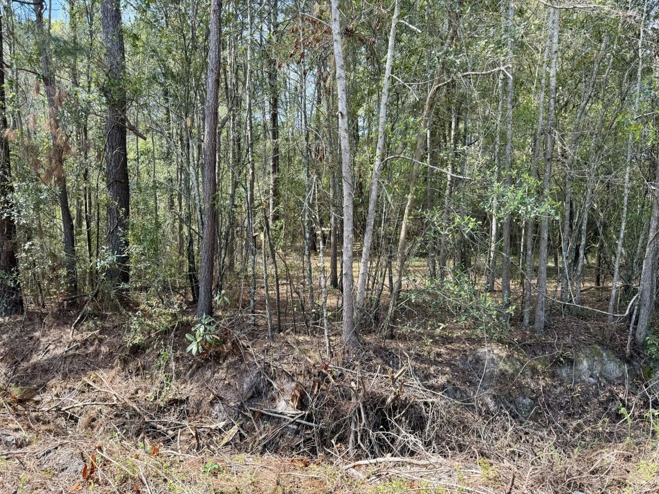 0 Washington Klein Street Photo 6