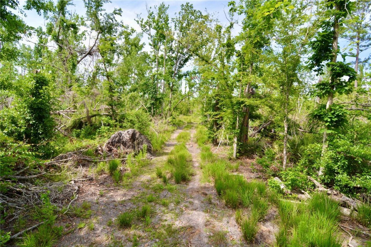 Rock Island Road, Perry, FL 32347 Photo