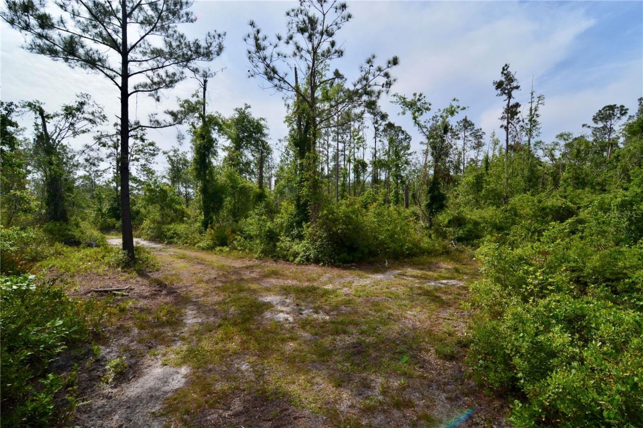 Rock Island Road, Perry, FL 32347 Photo