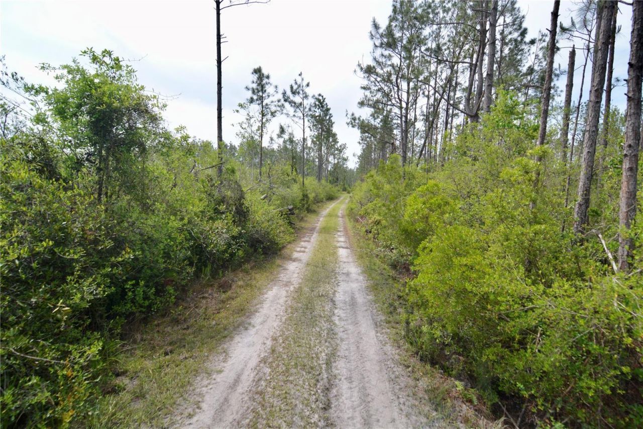 Rock Island Road, Perry, FL 32347 Photo
