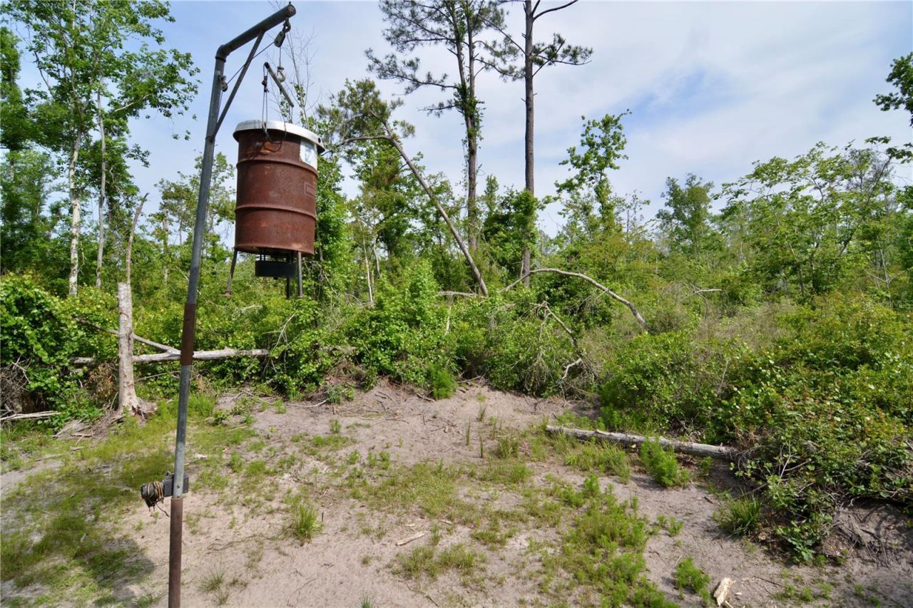 Rock Island Road, Perry, FL 32347 Photo