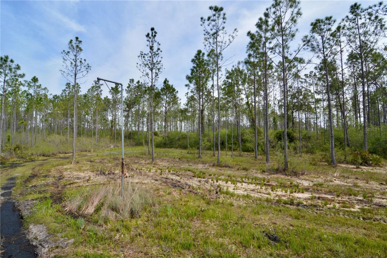 Rock Island Road, Perry, FL 32347 Photo