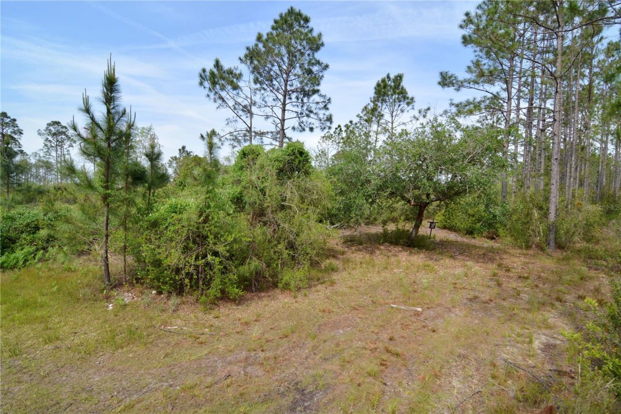 Rock Island Road, Perry, FL 32347 Photo