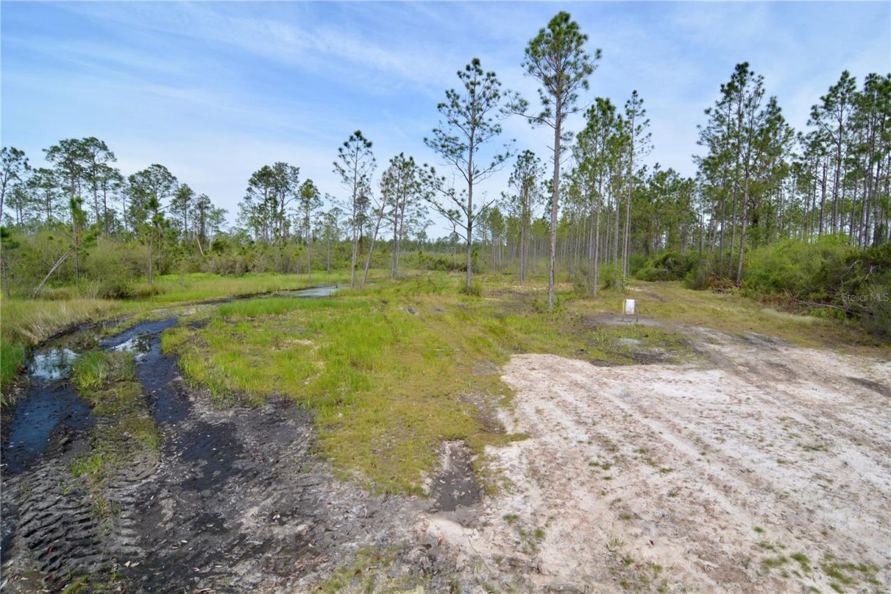 Rock Island Road, Perry, FL 32347 Photo