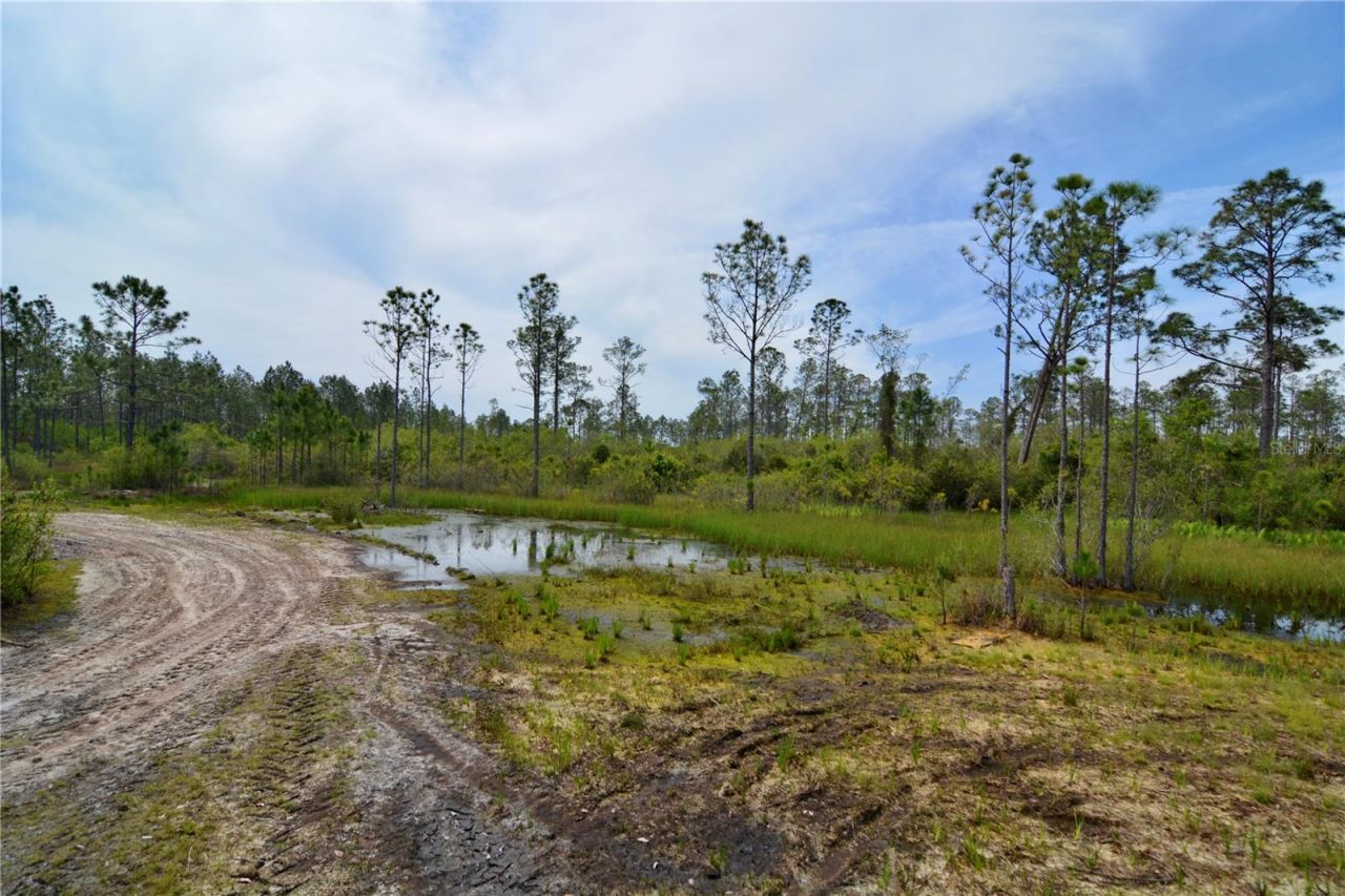 Rock Island Road, Perry, FL 32347 Photo