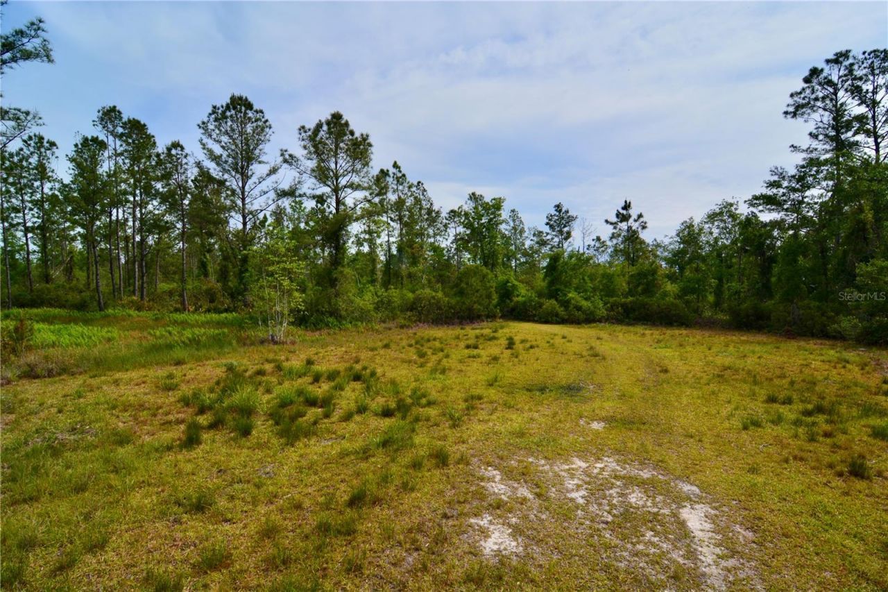 Rock Island Road, Perry, FL 32347 Photo