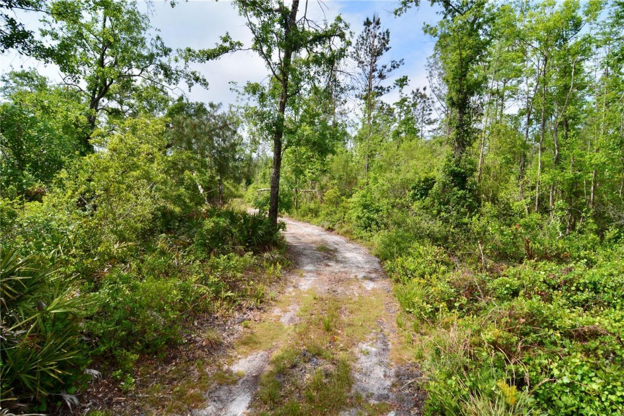 Rock Island Road, Perry, FL 32347 Photo