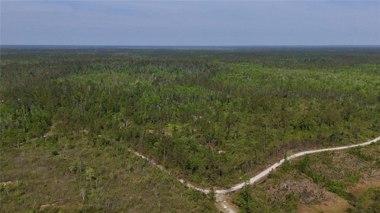 Rock Island Road, Perry, FL 32347 Photo