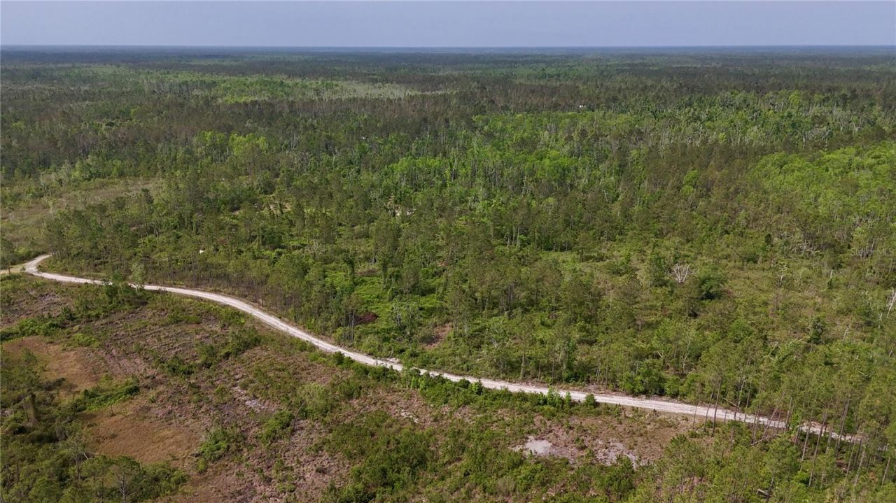 Rock Island Road, Perry, FL 32347 Photo