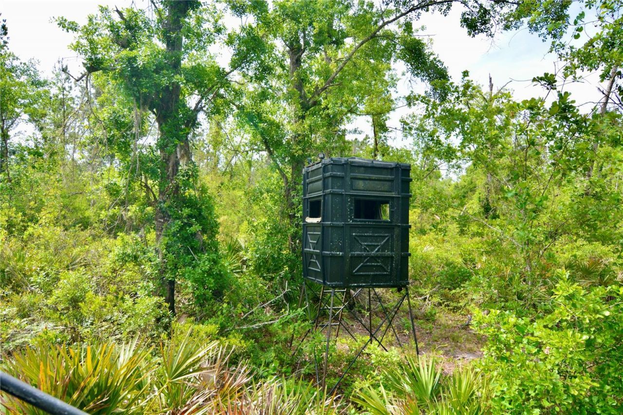 Rock Island Road, Perry, FL 32347 Photo