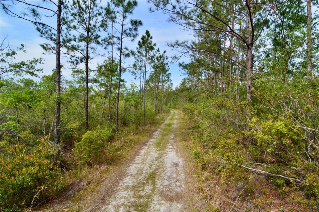 Rock Island Road, Perry, FL 32347 Photo