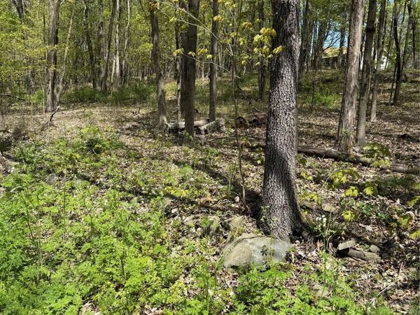 120 Floyd Ackert Road, Esopus, NY 12493