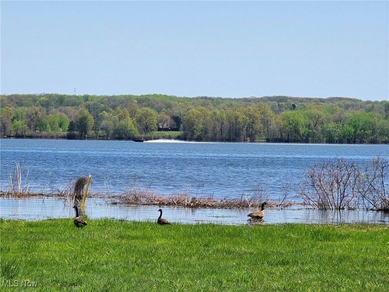 5294 Cottage Drive, Mecca, OH 44410 Photo 6