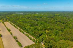 2234 River Road photo 4