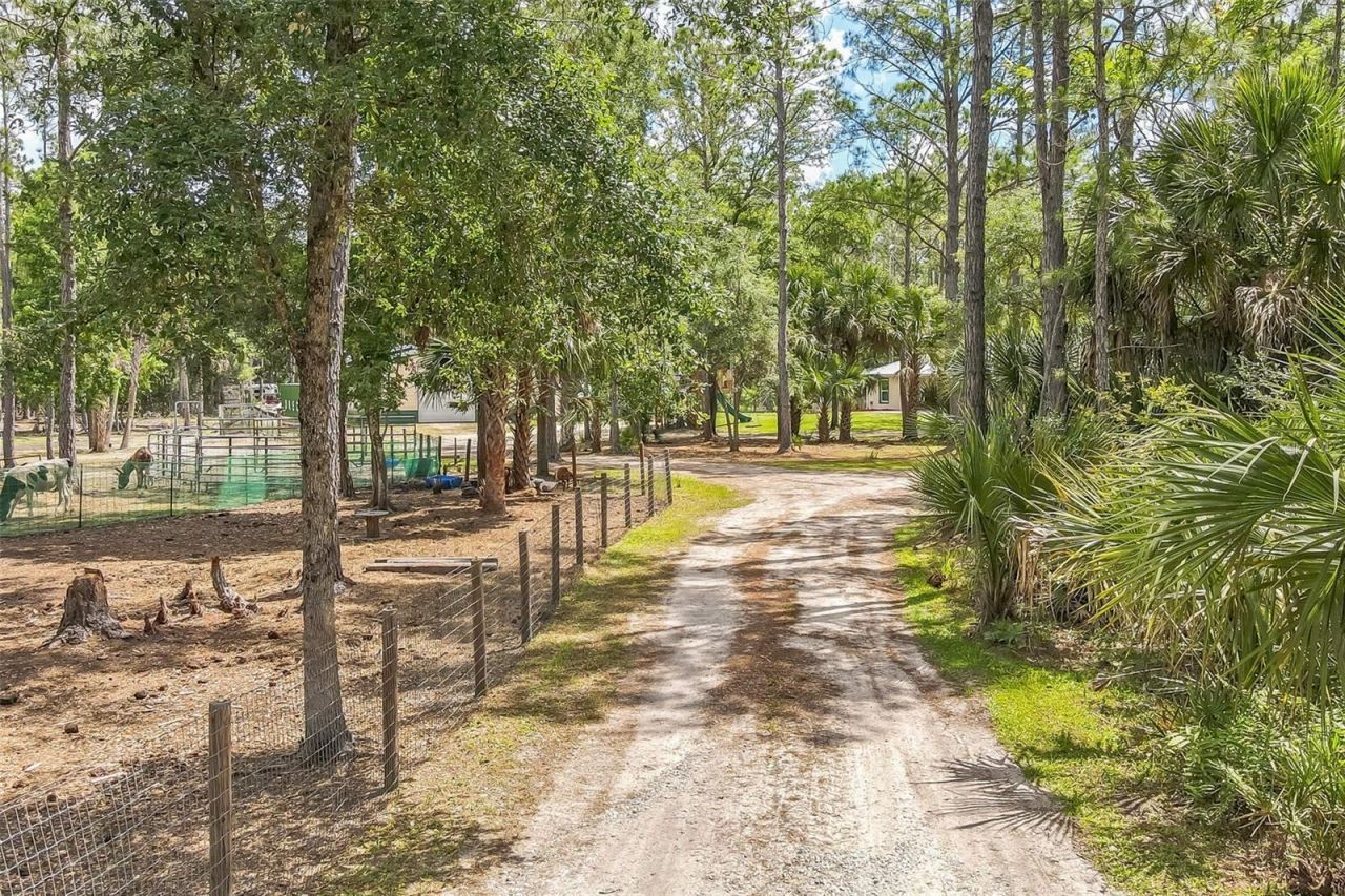 723 River Run Road, Osteen, FL 32764 Photo