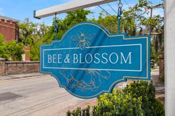 184 Ashley Avenue photo 4