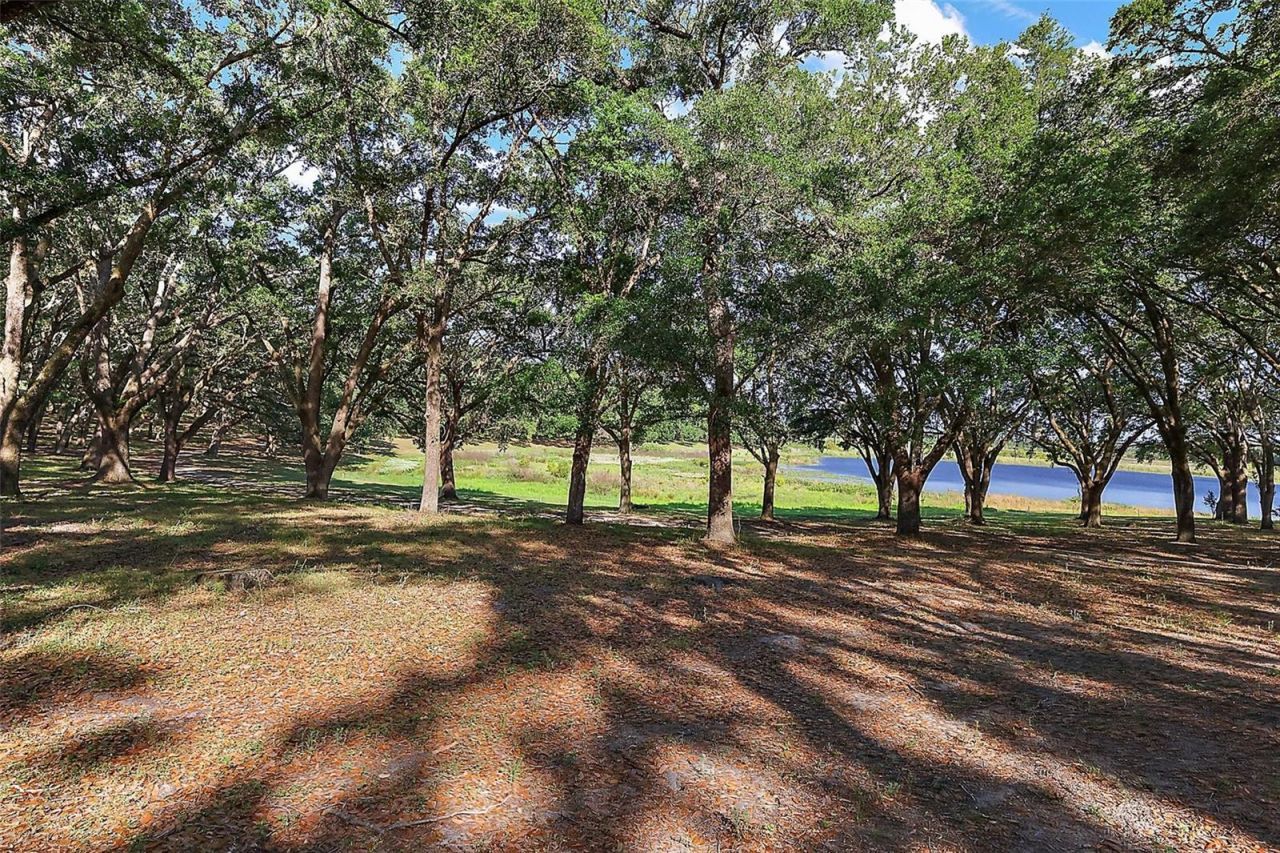 27011 SE Highway 42, Umatilla, FL 32784 Photo