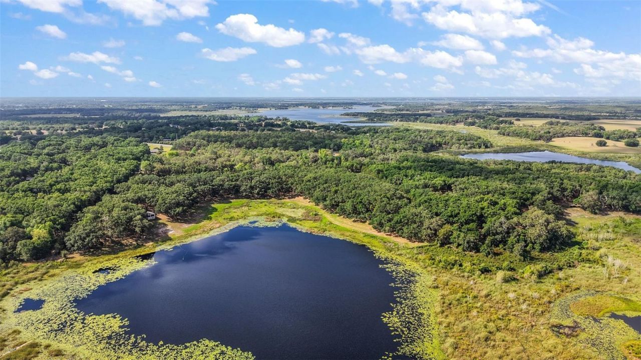 27011 SE Highway 42, Umatilla, FL 32784 Photo